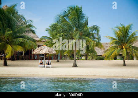 Thatched palapas, palm trees and lounge chairs on beach, viewed from Caribbean Sea, Jaguar Reef Lodge, Hopkins Stock Photo