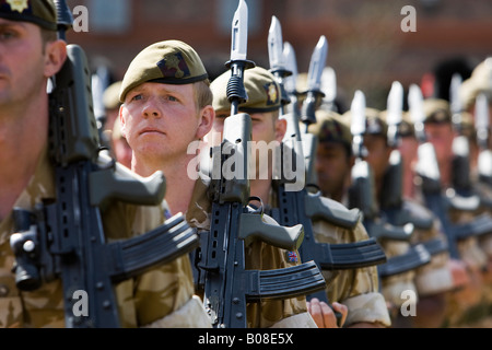 British Army 1st Battalion the Coldstream Guards in desert fatigues with bayonets fitted to their guns Stock Photo
