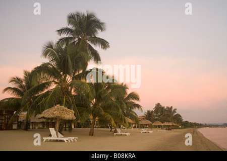 Thatched palapas, palm trees and lounge chairs on beach, Jaguar Reef Lodge, Hopkins, Stann Creek District, Belize Stock Photo