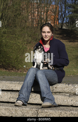 Chihuahua (Canis lupus f. familiaris), young woman sitting outdorrs and holding a long heired Chihuahua and a Miniature Chihuah Stock Photo