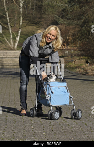 Chihuahua (Canis lupus f. familiaris), fair-haired woman pushing a perambulator with a long haired Chihuahua in a park Stock Photo