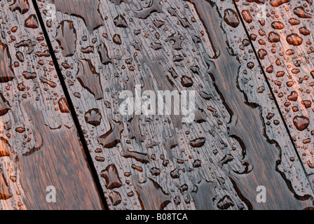 Water drops puddling on wooden boards (bankirai wood) Stock Photo