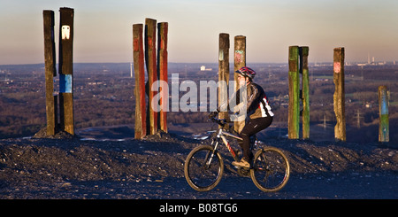 bicyclist in front of the installation Totems on the peak of the heap Haniel, Germany, North Rhine-Westphalia, Bottrop Stock Photo