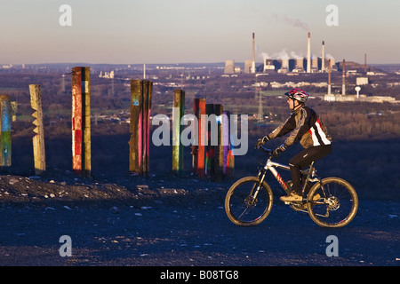 bicyclist in front of the installation Totems on the peak of the heap Haniel, Germany, North Rhine-Westphalia, Bottrop Stock Photo