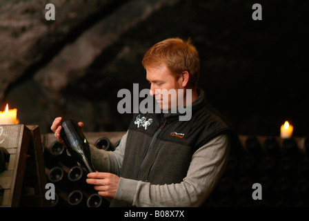 Cellarer conducting quality control in an old vault cellar, checking the fermentation process of champagne, Kessler sparkling w Stock Photo
