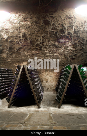 Wooden shelves for storing champagne bottles during the fermentation process in an old vault cellar, Kessler sparkling winery,  Stock Photo