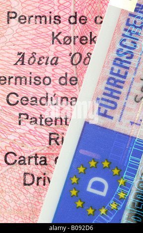 German EU driver's licence Stock Photo