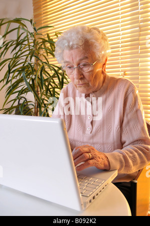 Senior woman (pensioner) working on laptop Stock Photo