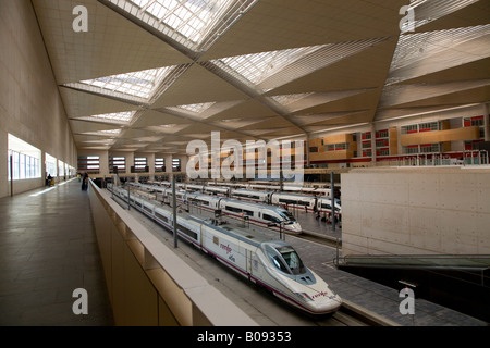 AVE high-speed train of the Spanish rail company Renfe in the Zaragoza-Delicias railway station, Zaragoza, Saragossa, Aragon, S Stock Photo