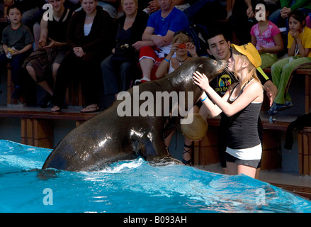 Californian Sea Lion kissing a female visitor during a show at the Loro Parque Zoo, Tenerife, Canary Islands, Spain Stock Photo