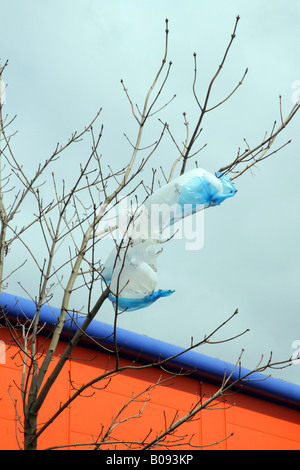 Wind-blown plastic bag trapped in trapped in a tree,next Super Market,Glasgow, Scotland,UK. Stock Photo