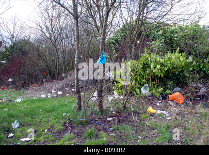 Wind-blown plastic bags trapped in trees,next Supermarket, Glasgow, Scotland,UK. Stock Photo