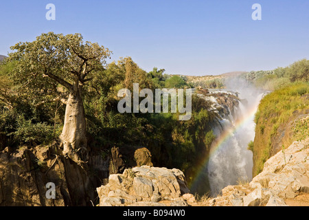 Epupa Falls along the border to Angola with an African Baobab (Adansonia digitata), Kunene River, Kaokoveld, Namibia, Africa Stock Photo