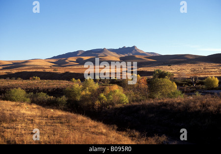 View from moving copper canyon train near Cuahtemoc, Sierra Madre Occidental, Chihuahua, Mexico Stock Photo