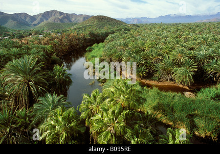Mulegé, Río Rosalía, river and palm oasis, Baja California Sur, Mexico Stock Photo