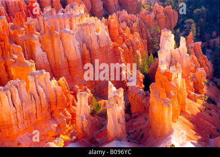 Amphitheater, Bryce Canyon National Park, Utah, USA Stock Photo