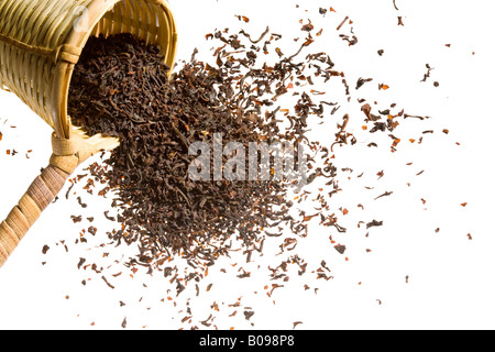 An overflowing heap of raw tea spilling out of a woven scooper. Stock Photo