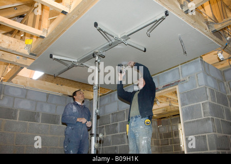 builder worker fitting plasterboard with screws Stock Photo