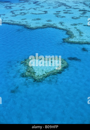 Aerial view of Heart Reef in Hardy Reef part of Great Barrier Reef Queensland Australia Stock Photo