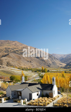 Mt Difficulty wine tasting room and Autumn Colours Bannockburn Central Otago South Island New Zealand Stock Photo