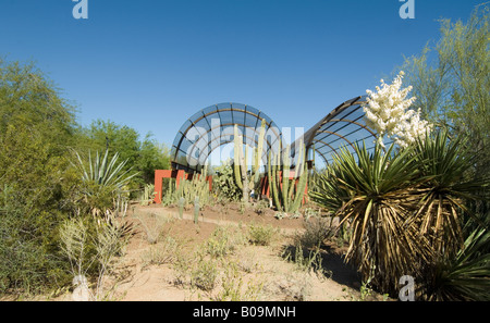 Phoenix Botanical Garden Arizona USA Stock Photo