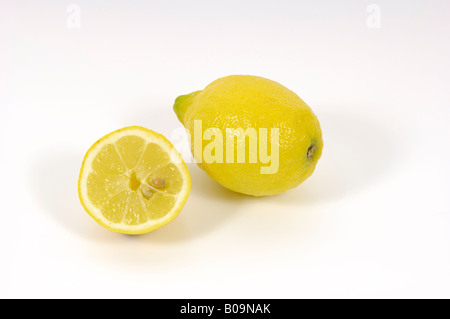 Studio shot of lemons against a white background Stock Photo