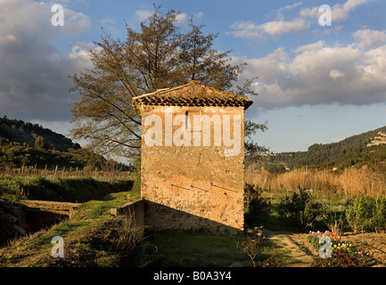 spring sunset over a barn in a french vineyard Stock Photo