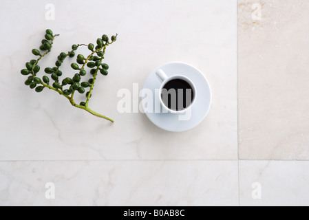 Coffee cup and olive branch, high angle view Stock Photo