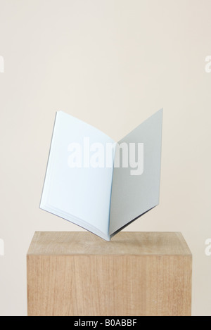 Open book on pedestal, blank pages inside Stock Photo