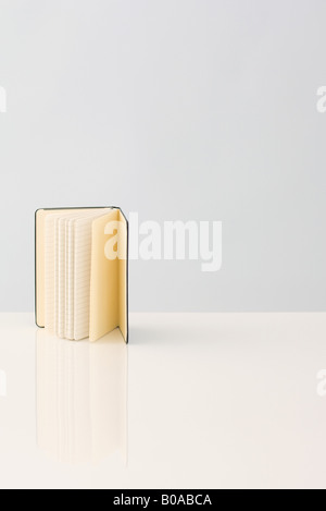 Open book with lined pages, standing on end Stock Photo