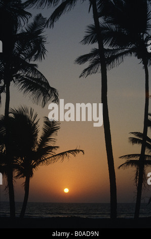 Sun setting into sea seen through silhouetted palm trees SUNSET GOA INDIA Stock Photo
