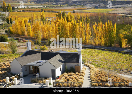 Mt Difficulty wine tasting room and Autumn Colours Bannockburn Central Otago South Island New Zealand Stock Photo