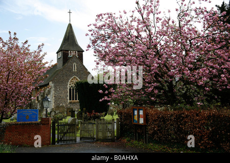 The church of Saint Mary the Virgin in the village of Buckland, Surrey. Stock Photo