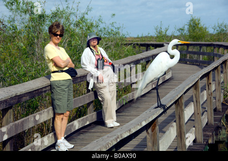 Birders on the boardwalk on the Anhinga Trail in Everglades National Park Florida USA Stock Photo