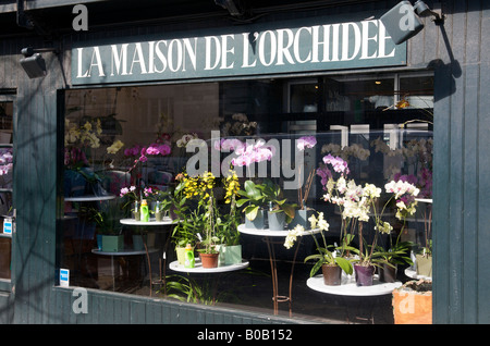 Paris flower market Stock Photo