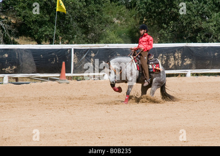 Israel Kibbutz Alonim Israeli Equestrian Organization western style ...