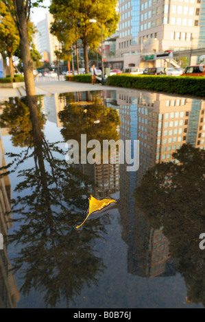 A yellow leaf floating on the reflected skyline, Minatomirai JP Stock Photo