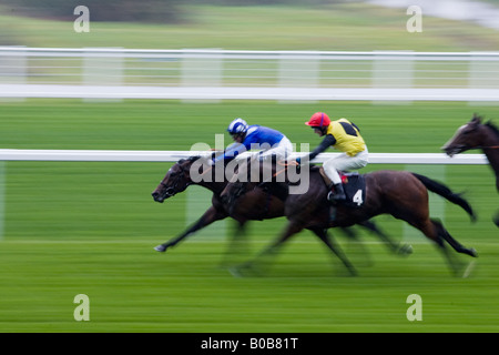 Horseracing at Ascot Racecourse Berkshire England United Kingdom Stock Photo