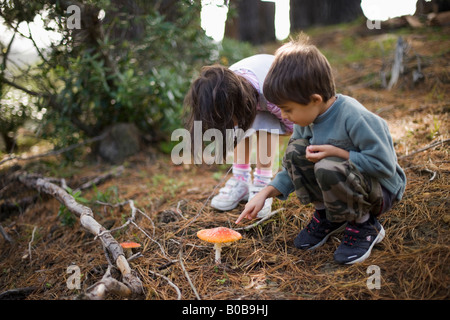 Boy aged six and girl aged four examine a toadstool in the grounds of Wellington Zoo New Zealand Stock Photo
