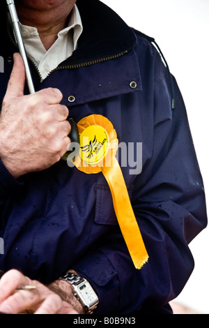 Party Rosettes on reps outside a polling station Stock Photo