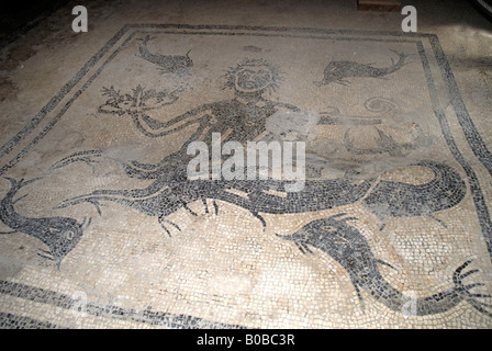 Herculaneum the bath house floor with the mosaics damaged by the eruption of Vesuvius in 79AD Stock Photo