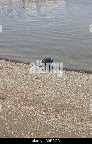 A Metal Detectorist Searches the Foreshore for Treasure at Greenwich Stock Photo