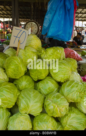 Cabbage at Kalenic Pijaca market in Belgrade Serbia Europe Stock Photo