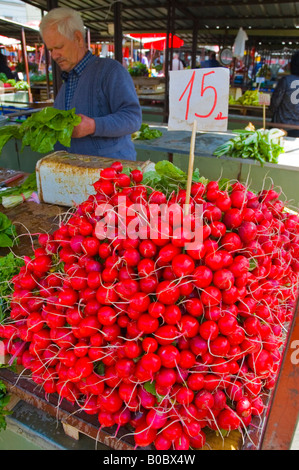 Greengrocer at Kalenic Pijaca market in Belgrade Serbia Europe Stock Photo