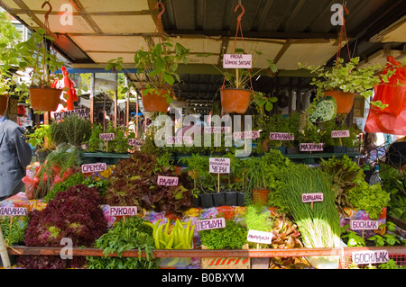Greengrocer at Kalenic Pijaca market in Belgrade Serbia Europe Stock Photo
