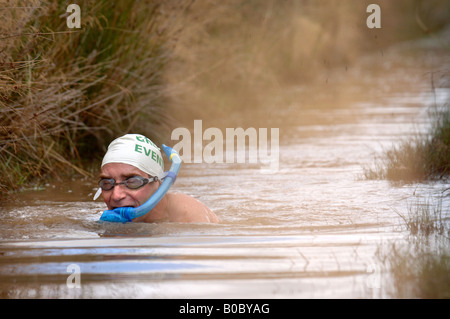 A COMPETITOR COMES UP FOR AIR AT THE INTERNATIONAL BOG SNORKELLING CHAMPIONSHIPS AT LLANWRTYD WELLS POWYS WALES UK Stock Photo