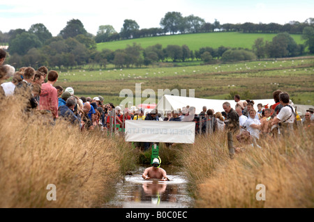 A COMPETITOR COMES UP FOR AIR AT THE INTERNATIONAL BOG SNORKELLING CHAMPIONSHIPS AT LLANWRTYD WELLS POWYS WALES UK Stock Photo