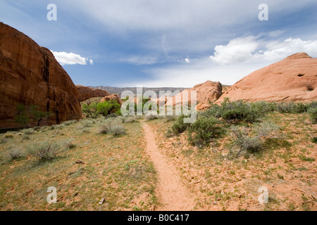 USA - Utah. Willow Gulch area off Hole-in-the-Rock Road in Grand Staircase - Escalante National Monument. Stock Photo