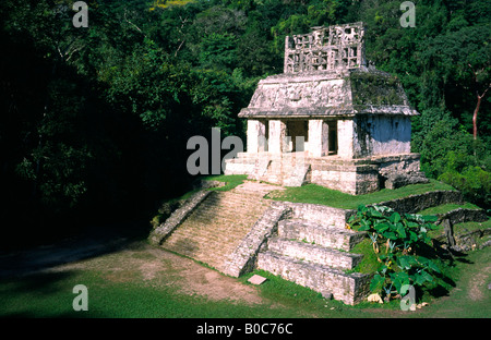 Feb 25, 2002 - Temple of the Sun, part of the Groupo de la Cruz, at the Mayan ruins of Palenque in the Mexican state of Chiapas. Stock Photo