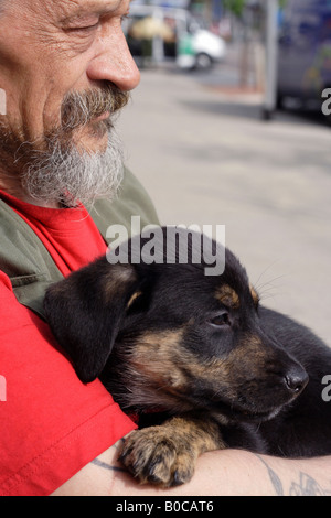 Elderly man holding a puppy, Saarbruecken, Germany Stock Photo